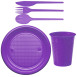 Wegwerp Servies Violet